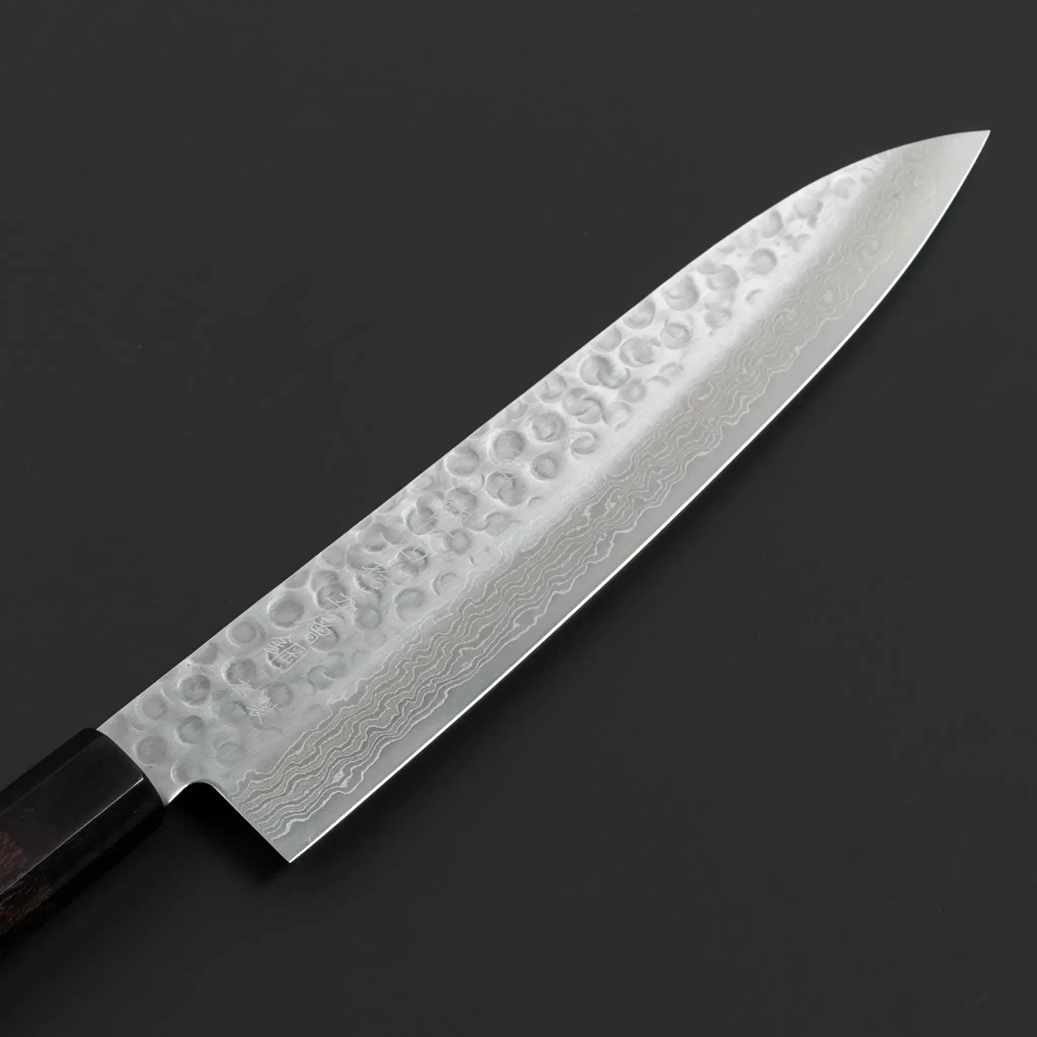 Fujikan Aus-10 Damascus Steel Gyuto Knife with ergonomic handle and razor-sharp edge for professional chefs
