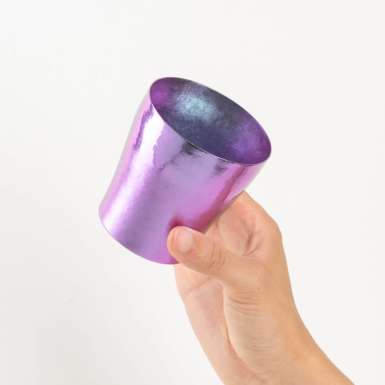 HORIE Rei Series Titanium Tumbler 250ml – Purple HORIE