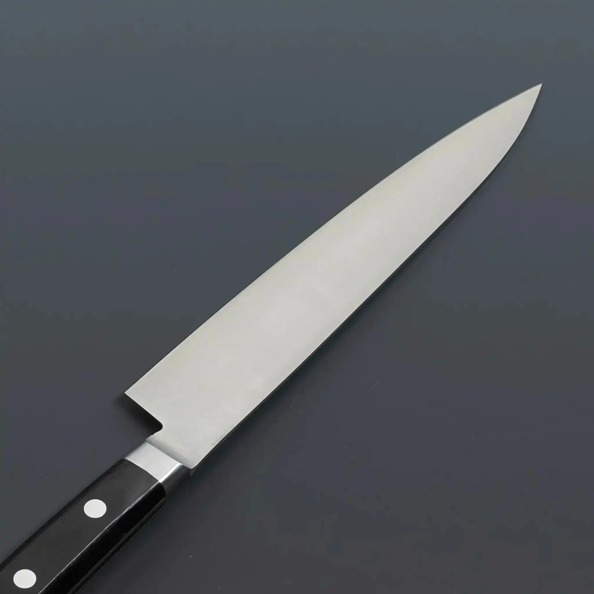 Sakai Kikumori Japanese Steel Petty Knife Back