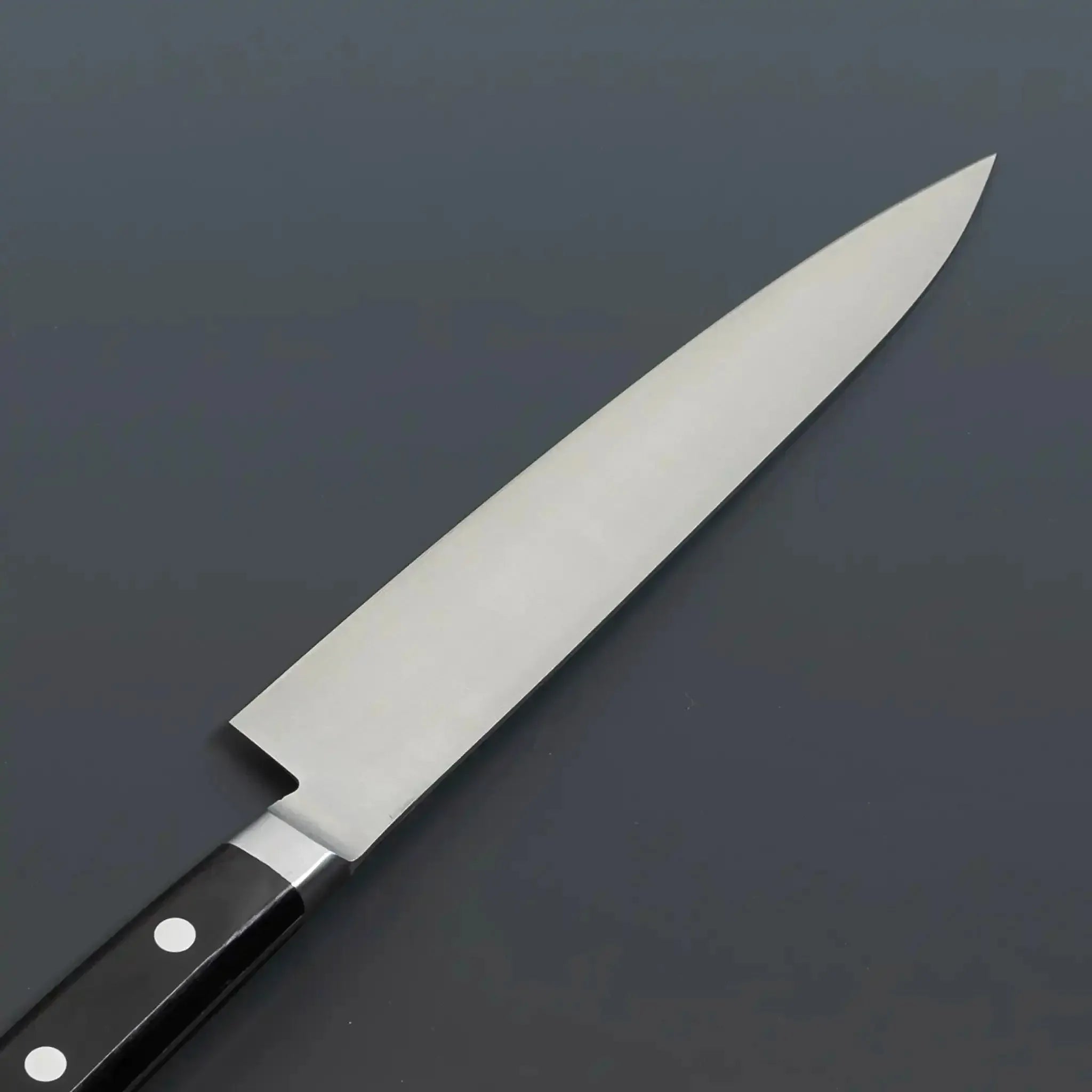 Sakai Kikumori Japanese Steel Petty Knife Back