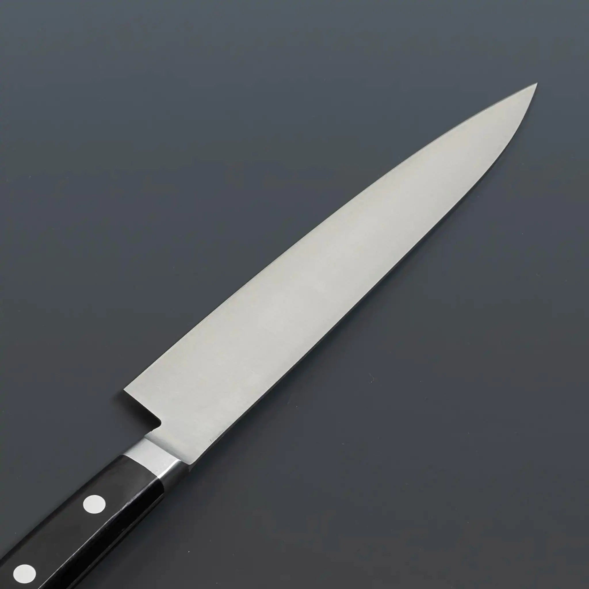 Sakai Kikumori Japanese Steel Petty Knife Back