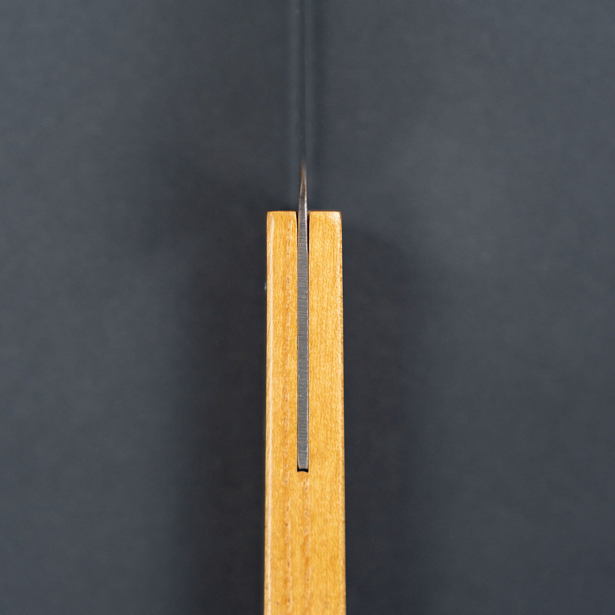 Spine view of the Shizuhamono Morinoki 170mm utility knife showing the thin blade and wooden handle