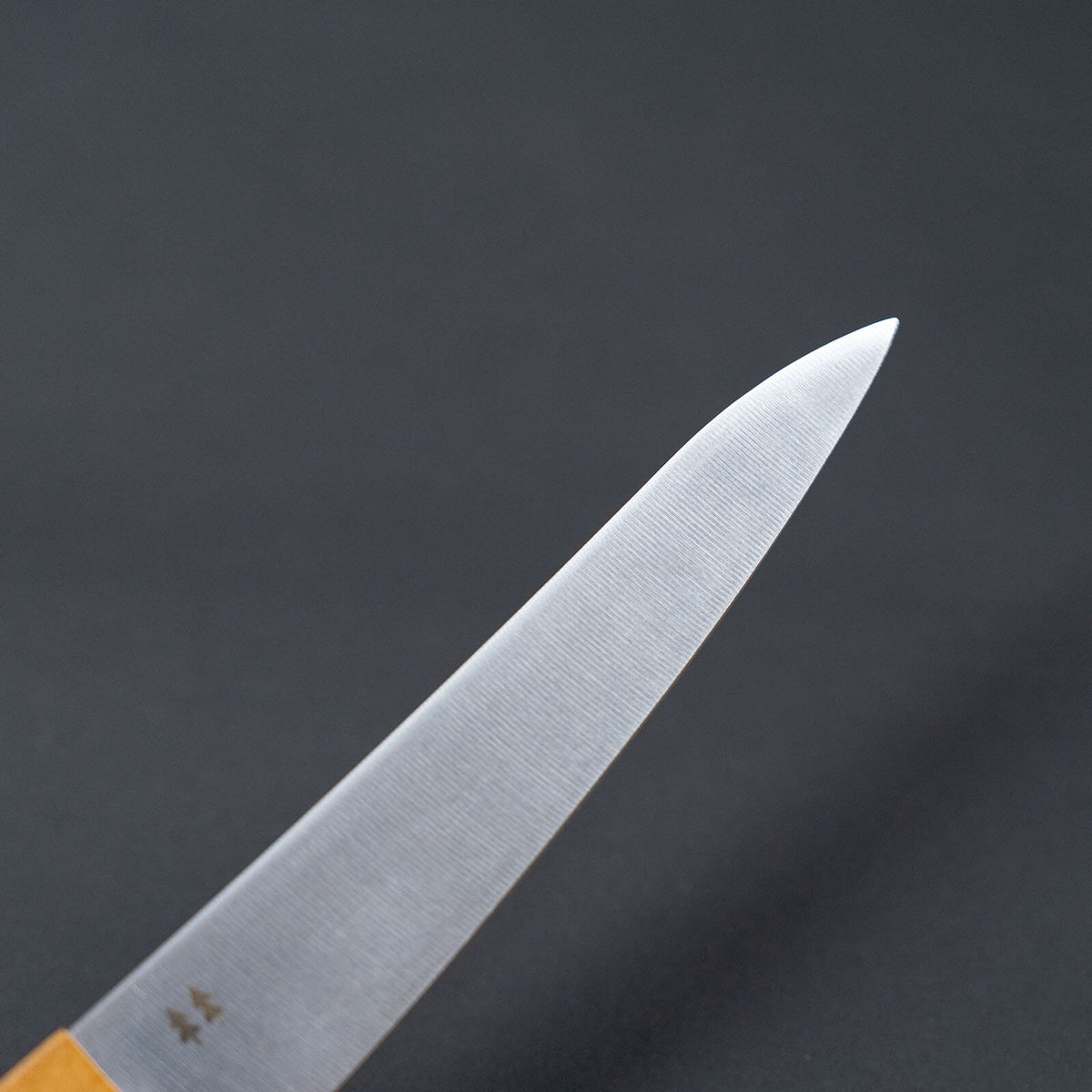Close-up of the pointed tip and stainless steel blade surface of the Shizuhamono Morinoki utility knife